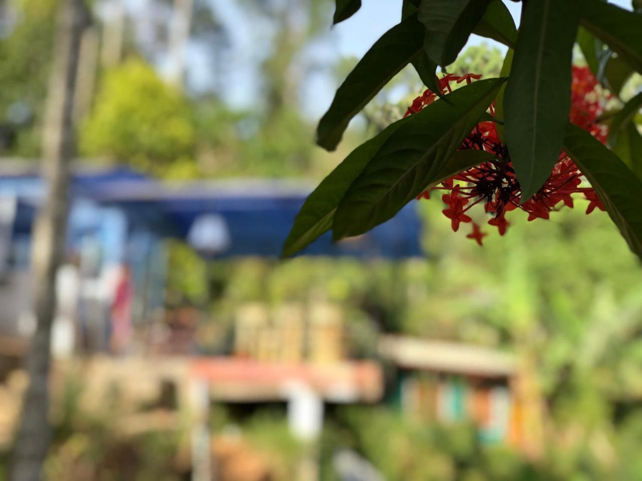 엘라 Hi Lanka Backpackers (Adults Only) 호스텔 외부 사진